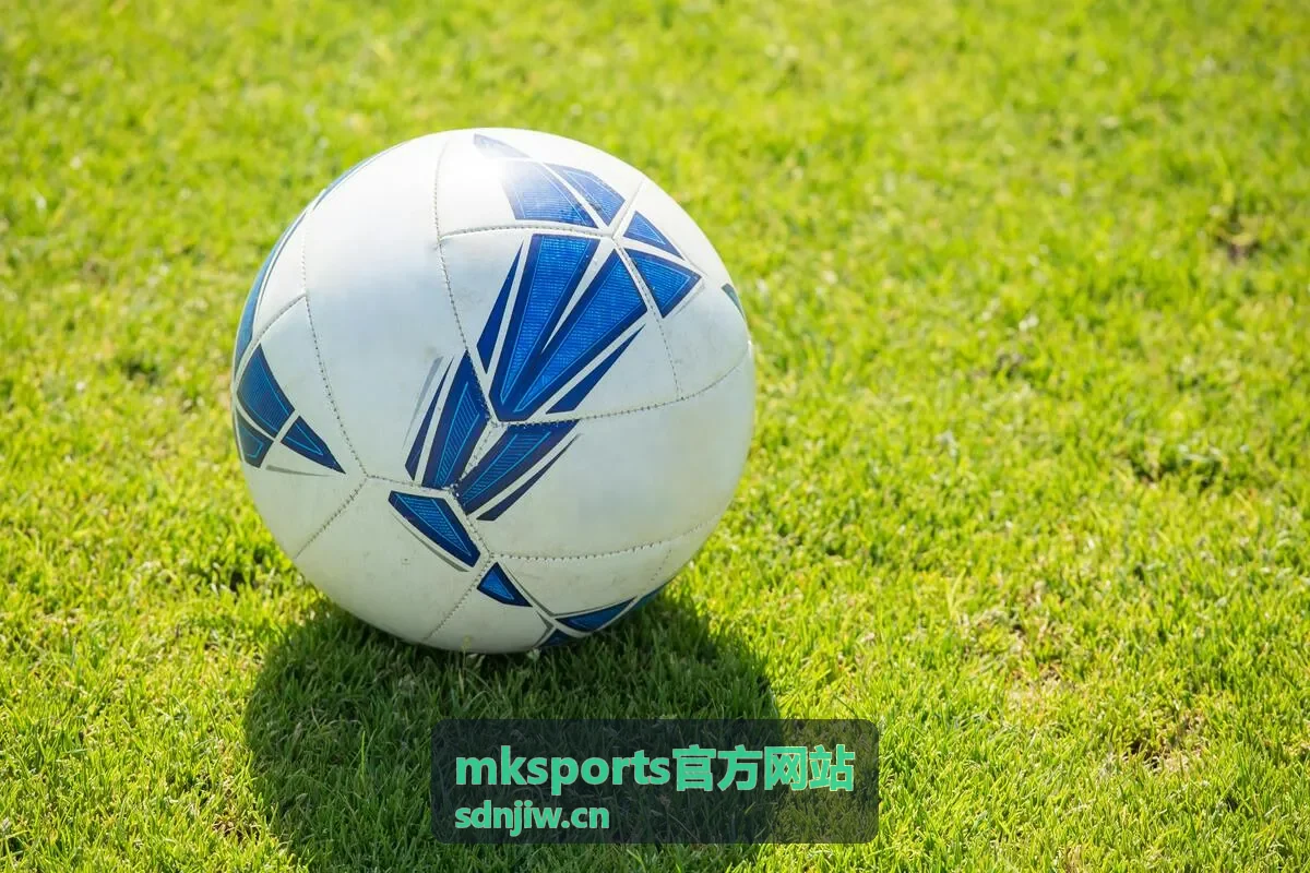 mksports官方网站运动数据管理平台界面