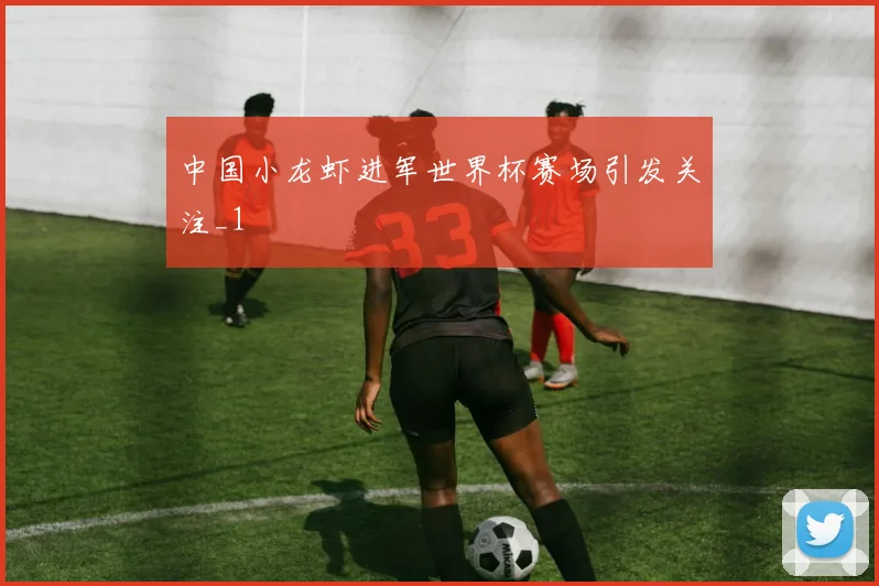 中国小龙虾进军世界杯赛场引发关注_1