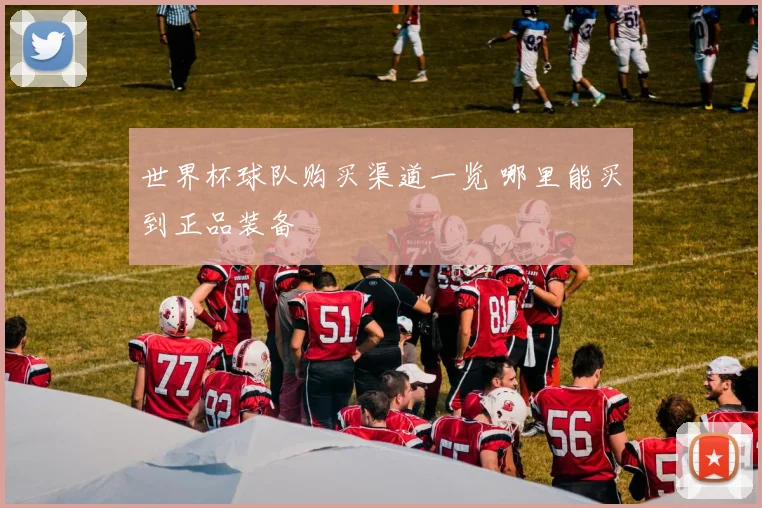 世界杯球队购买渠道一览 哪里能买到正品装备