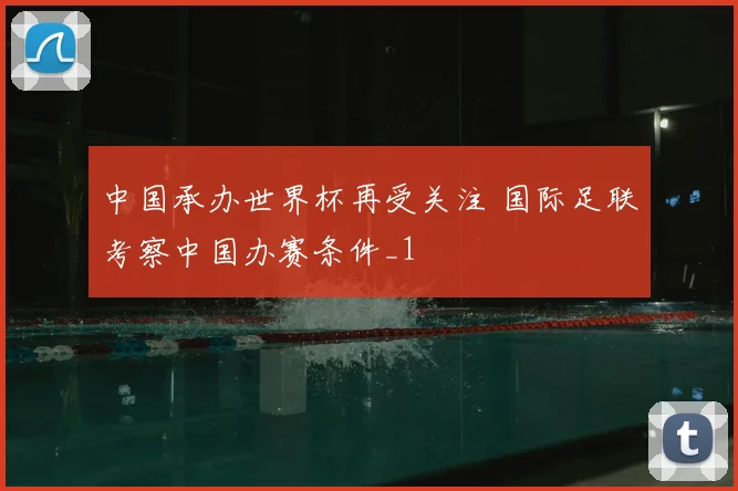 中国承办世界杯再受关注 国际足联考察中国办赛条件_1