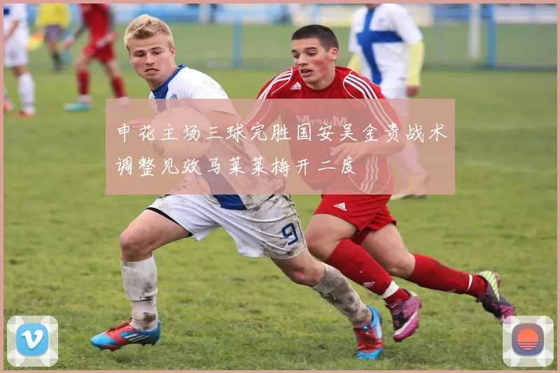 申花主场三球完胜国安吴金贵战术调整见效马莱莱梅开二度