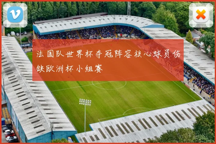 法国队世界杯夺冠阵容核心球员伤缺欧洲杯小组赛