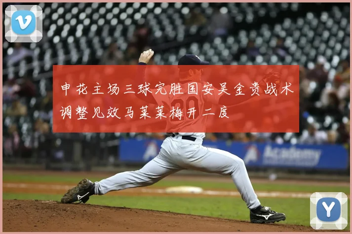 申花主场三球完胜国安吴金贵战术调整见效马莱莱梅开二度