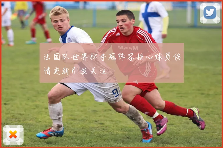法国队世界杯夺冠阵容核心球员伤情更新引发关注